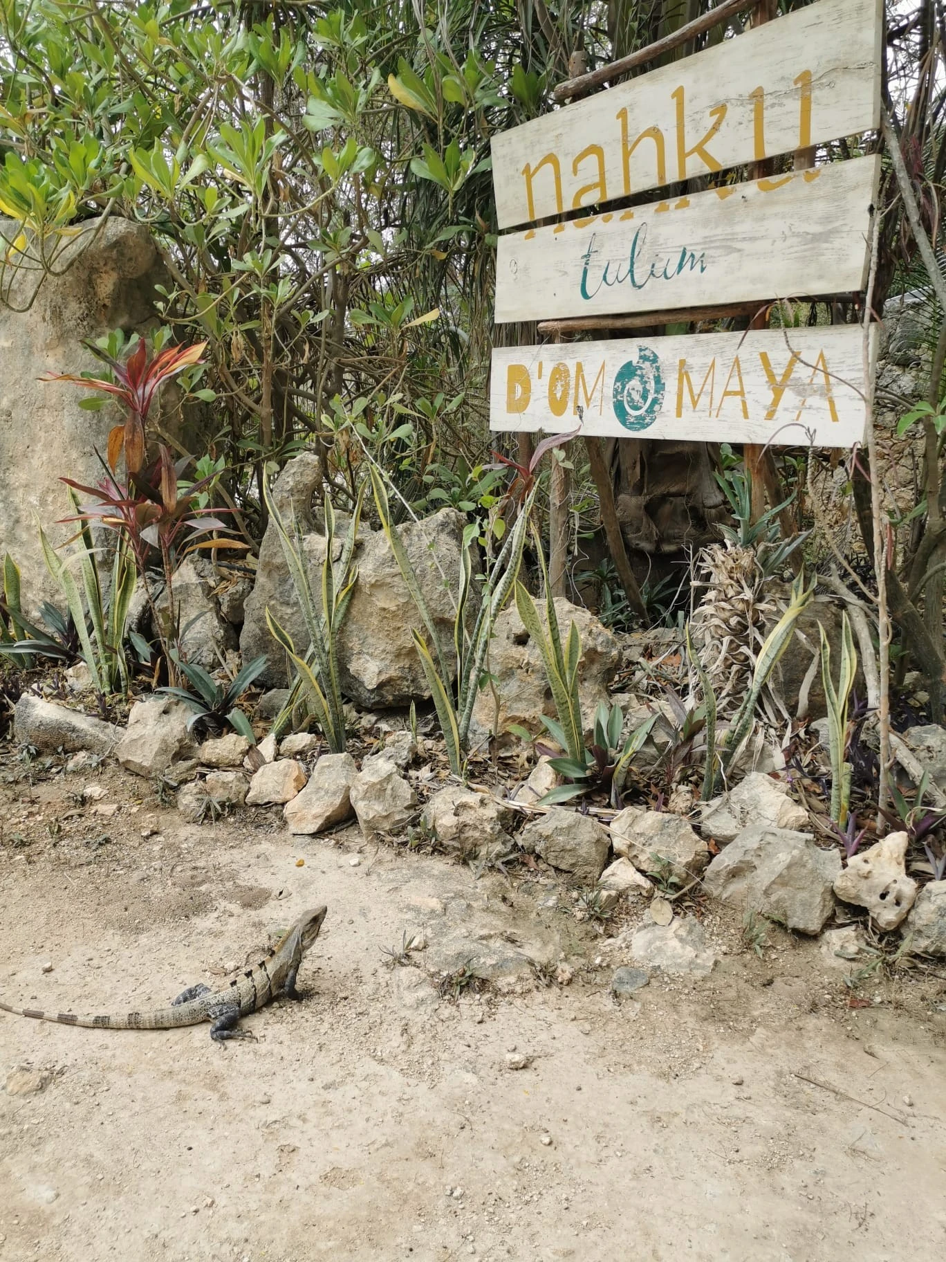 Un igoine à l'entrée de notre resort.